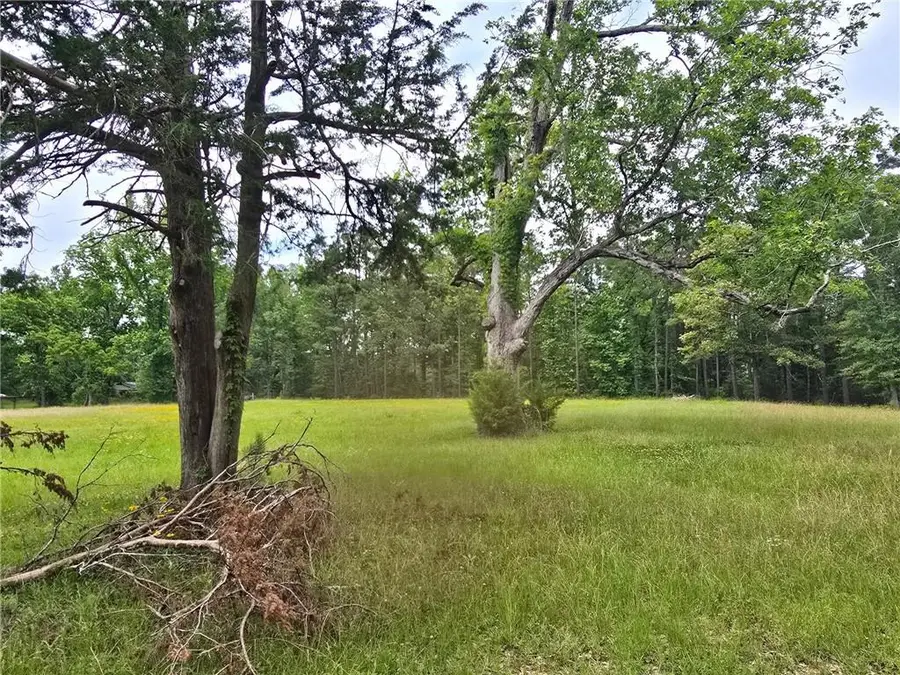 8663 Hwy 165 Highway, Pollock, LA 71467 - #3