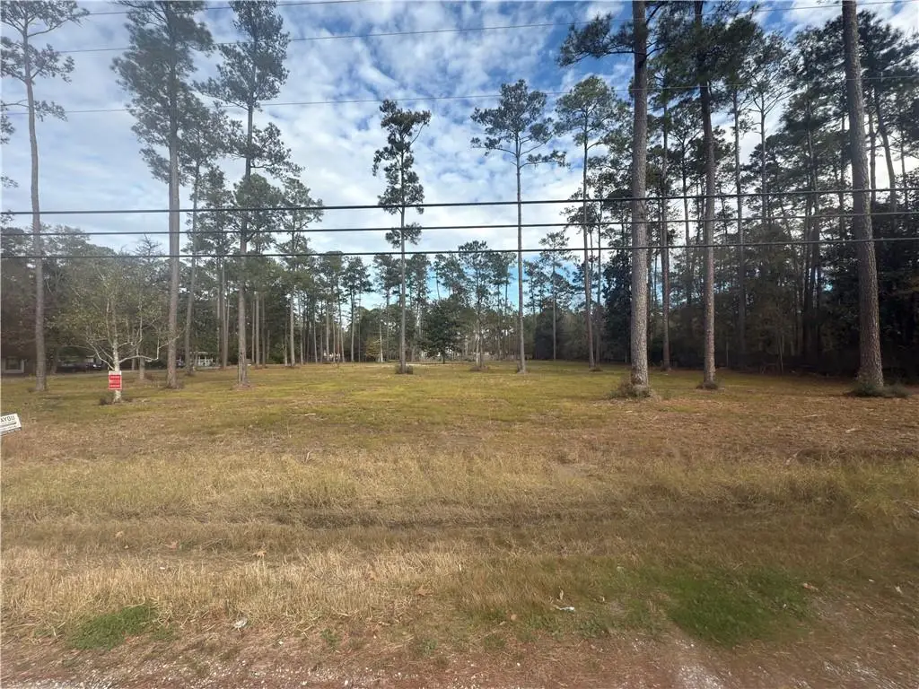 61016 Nehl Street, Lacombe, LA 70445 - #1