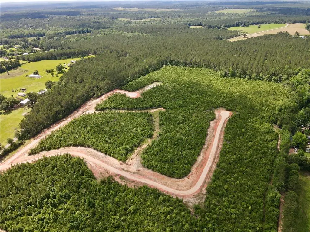 Parcel 4 436 Highway, Franklinton, LA 70438 - #1