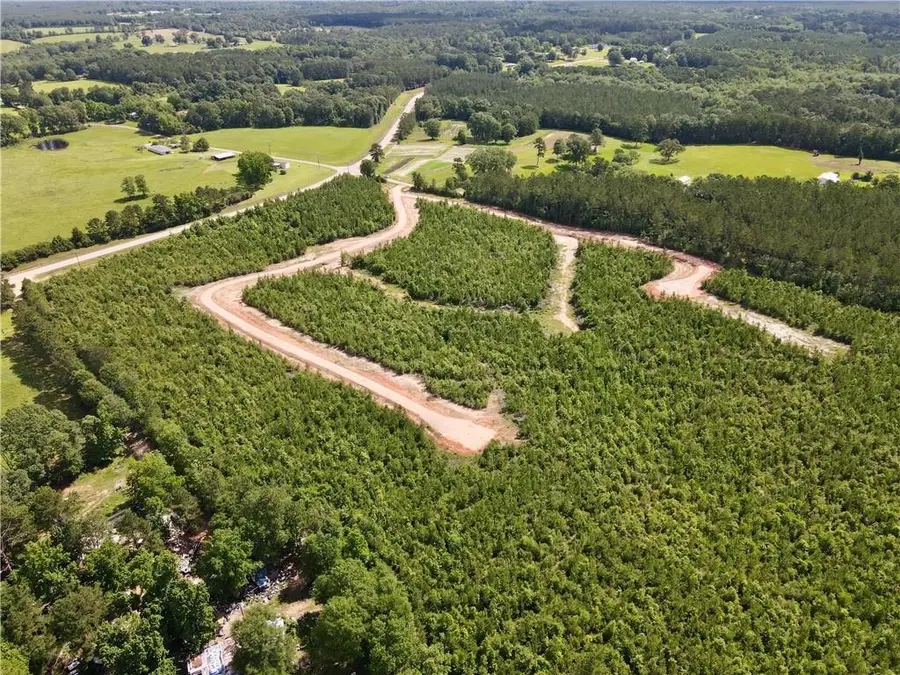 Parcel 4 436 Highway, Franklinton, LA 70438 - #3