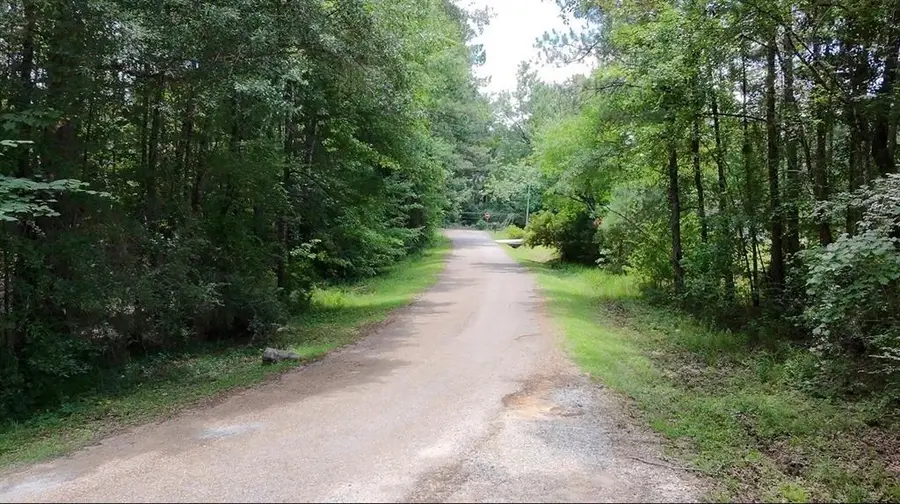 0 Whittington Drive, Pineville, LA 71360 - #2