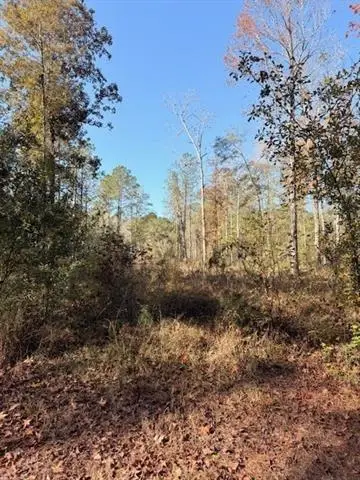 42217 Pasqua Road, Ponchatoula, LA 70454 - #1