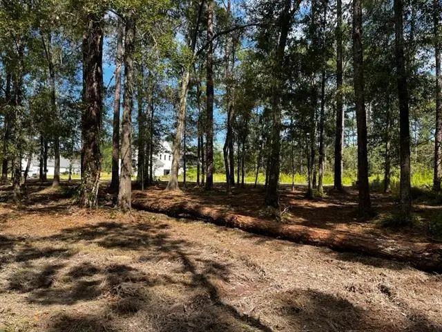 LOT 24-A Rue Charlotte Road, Madisonville, LA 70447 - #1