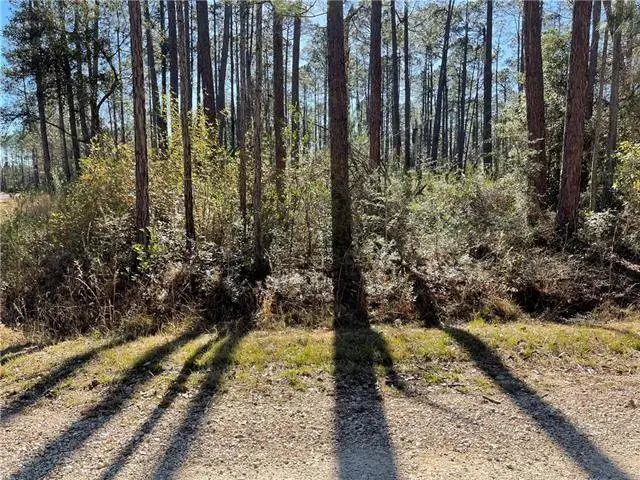 Chip Street, Abita Springs, LA 70420 - #2