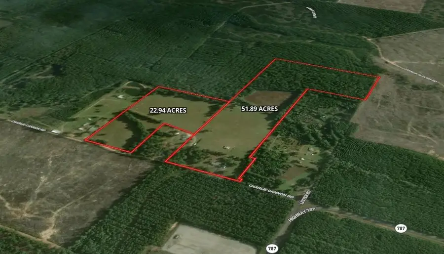 0 Charlie Cannon Road, Coushatta, LA 71019 - #2