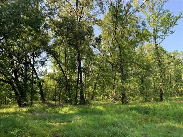 TBD Tina Drive, Hammond, LA 70401 - #3