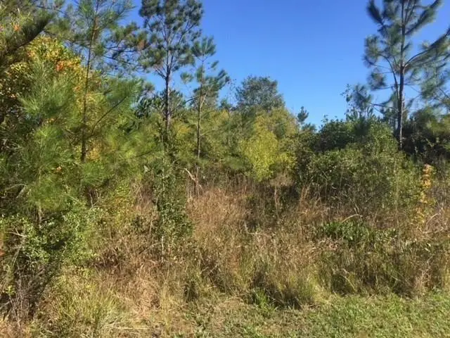 TBA Bonnie Lane, Covington, LA 70433 - #1