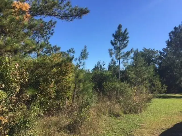 TBA Bonnie Lane, Covington, LA 70433 - #3