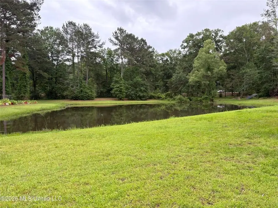 367 44 Highway, Jayess, MS 39641 - #2
