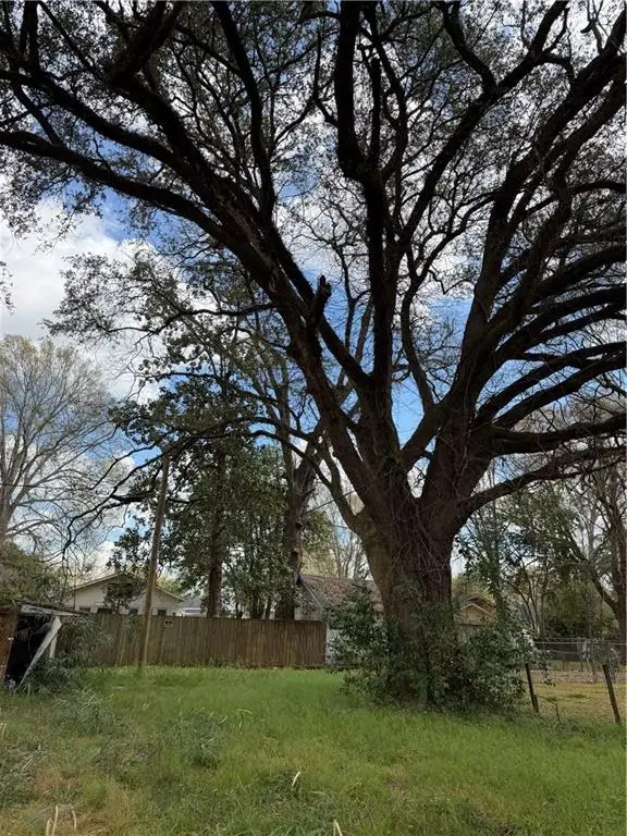 1715 Dartmouth Street, Alexandria, LA 71301 - #3