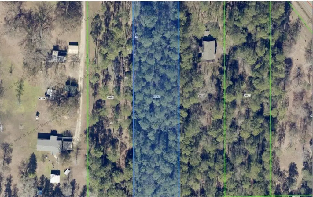 Treadaway Street, Mandeville, LA 70471 - #1