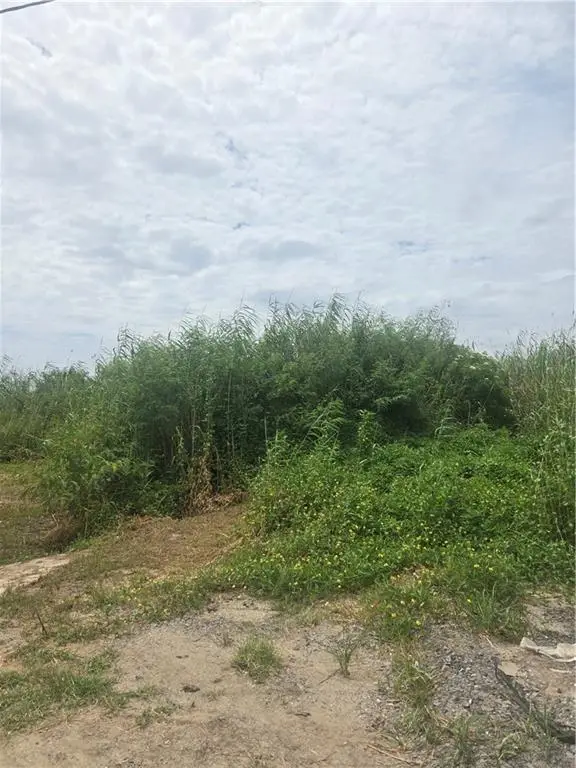 Lots 1-4 Quince Lane, Grand Isle, LA 70358 - #1
