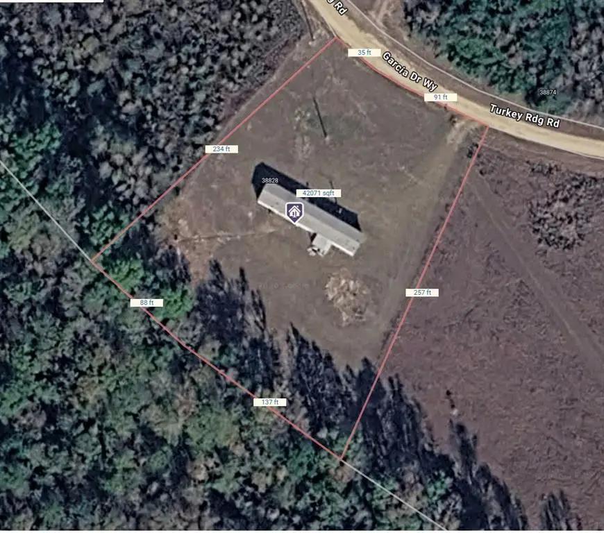 38828 Turkey Ridge Road, Mount Hermon, LA 70450 - #2