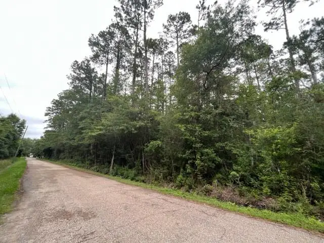 Lynn Street, Lacombe, LA 70445 - #1