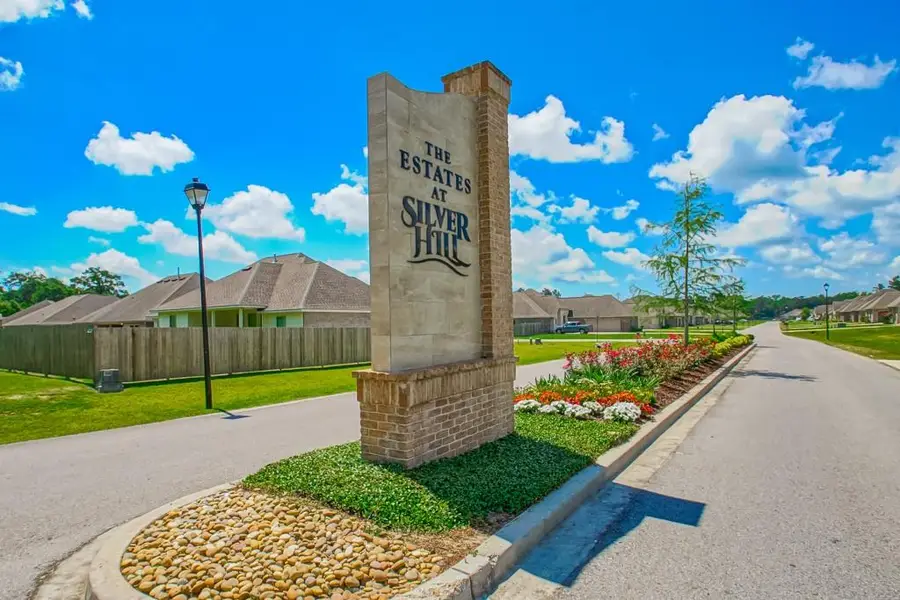 42409 Hamilton Lane, Ponchatoula, LA 70454 - #2