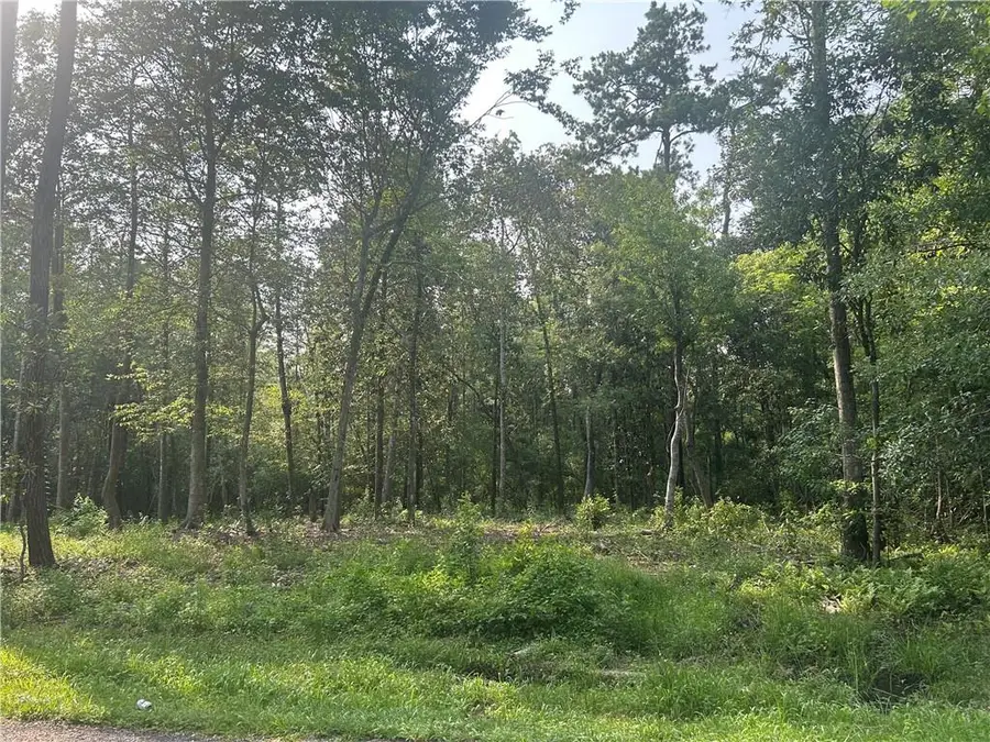 LOTS 158 & 159 Bogue Falaya Drive, Covington, LA 70433 - #2