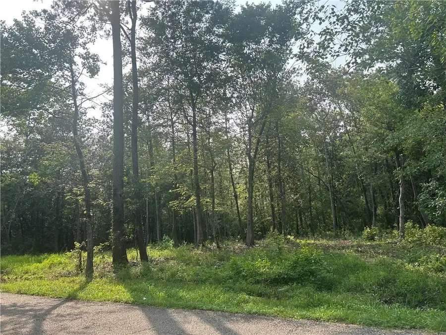 LOTS 158 & 159 Bogue Falaya Drive, Covington, LA 70433 - #3