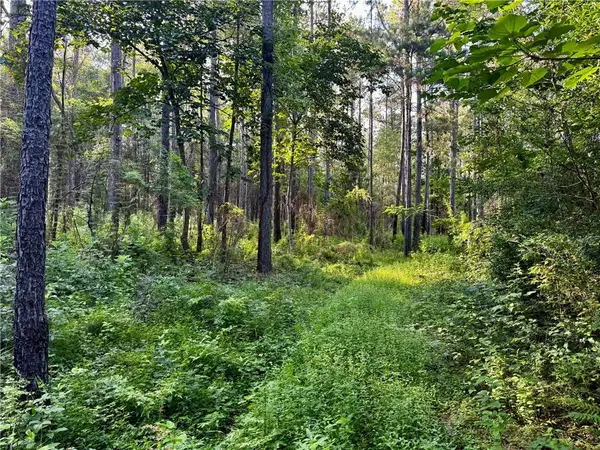 Parcel 3 Ward Line Road, Bogalusa, LA 70427