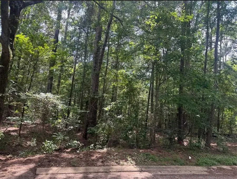 201 Kayla Drive, Natchitoches, LA 71457 - #2