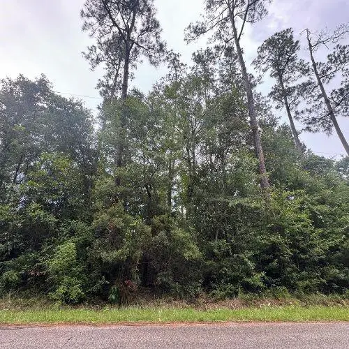 0 W Ruth Road, Lacombe, LA 70445 - #3