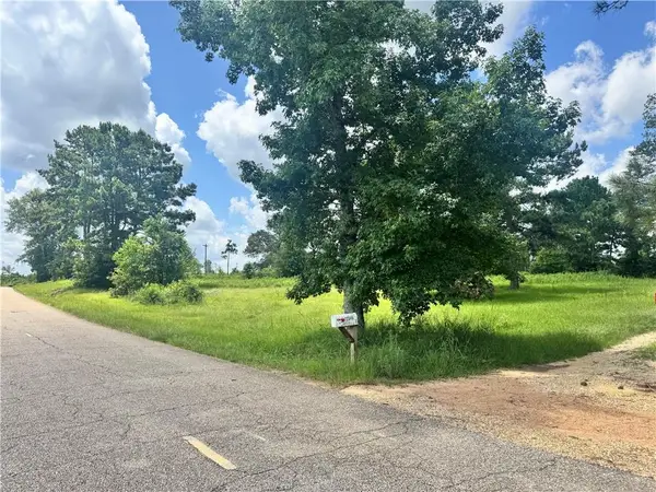 72045 S Lewiston Road, Kentwood, LA 70444