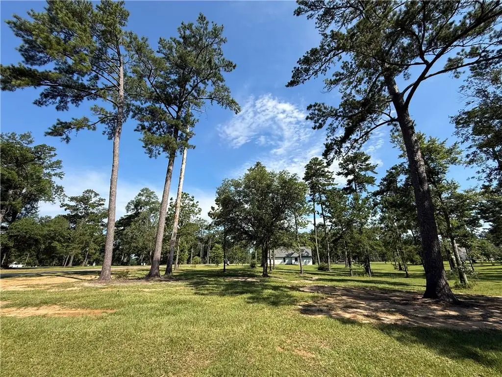 133 Chinawood Drive, Abita Springs, LA 70420 - #1