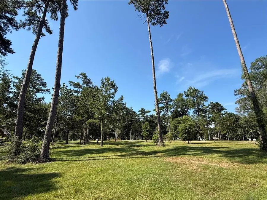 133 Chinawood Drive, Abita Springs, LA 70420 - #3