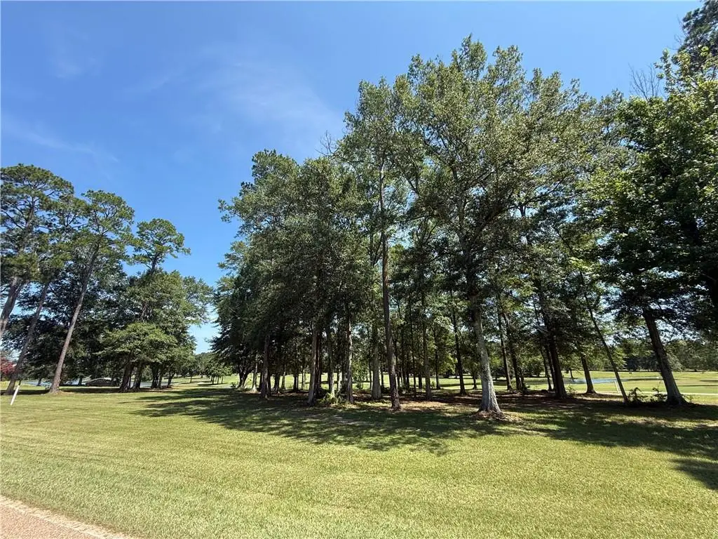 835 Camphill Drive, Abita Springs, LA 70420 - #1