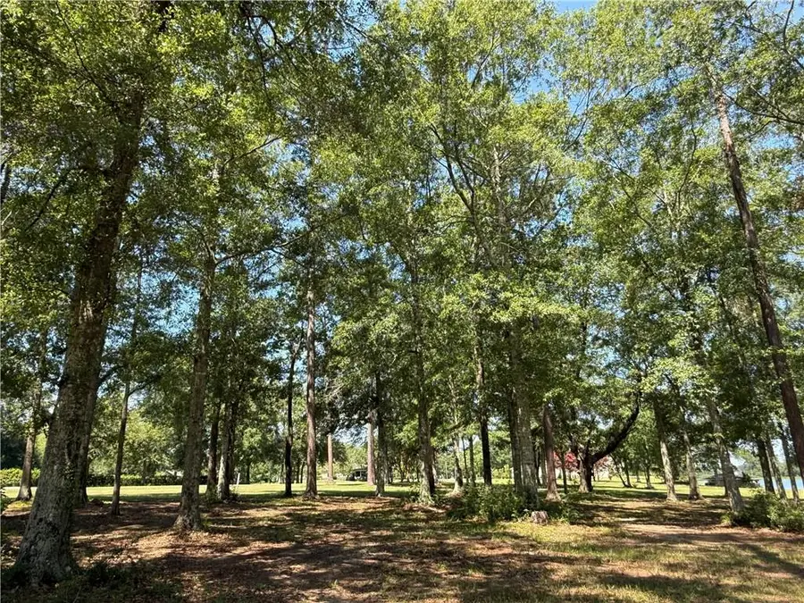 835 Camphill Drive, Abita Springs, LA 70420 - #3