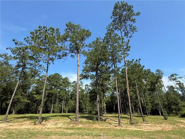 2748 Shade Tree Court, Abita Springs, LA 70420