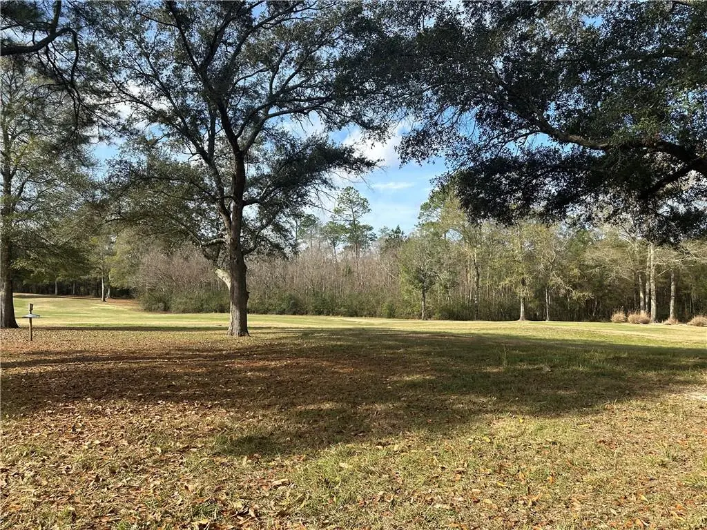 470 Trailhead Drive, Abita Springs, LA 70420 - #1