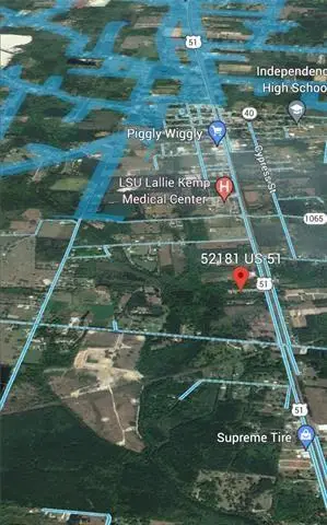 52181 Highway 51, Independence, LA 70443 - #1