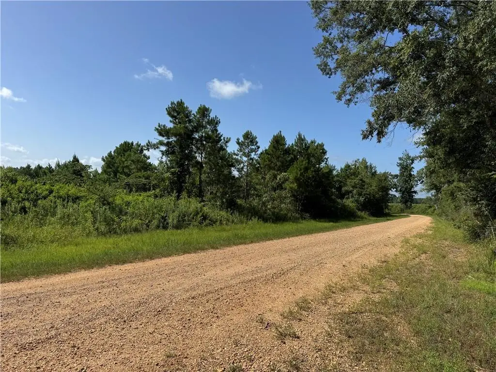 32 Sauls Road, Ruth, MS 39662 - #1