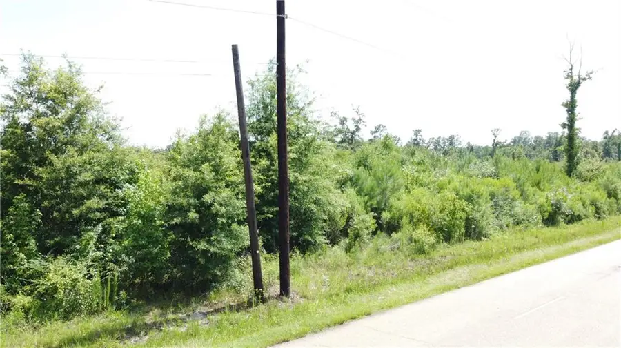 Tract A-3-C Old Genessee Road, Tickfaw, LA 70466 - #3