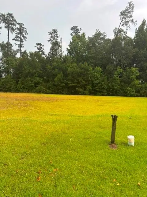 19517 Par Lane, Hammond, LA 70401