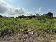 LOT L-2 Langston Lane, Port Sulphur, LA 70083