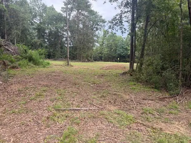 12293 Highway 40 Highway, Folsom, LA 70437 - #3