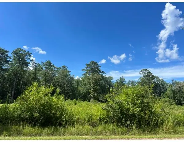 0 Max Mercer Road, Pearl River, LA 70452
