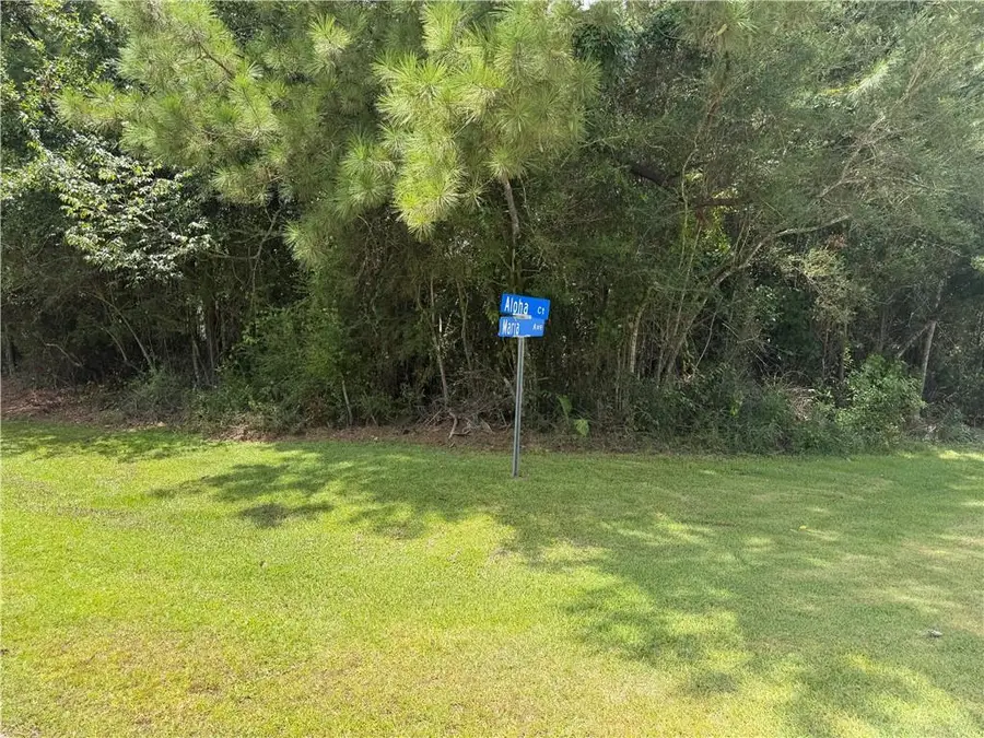 Lots 111-12 - Street, Abita Springs, LA 70420 - #2