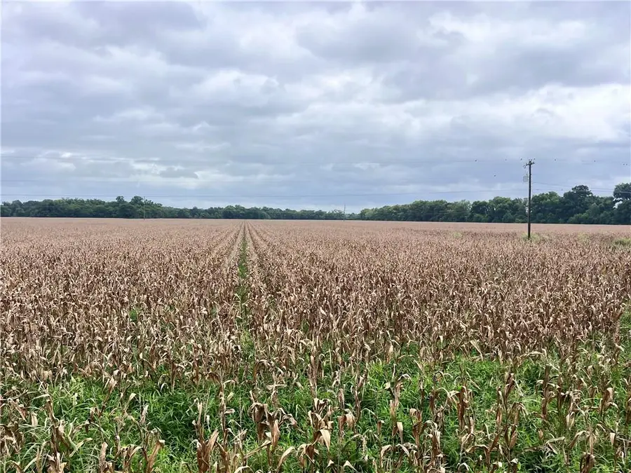 0 1185 Highway, Cottonport, LA 71327 - #3