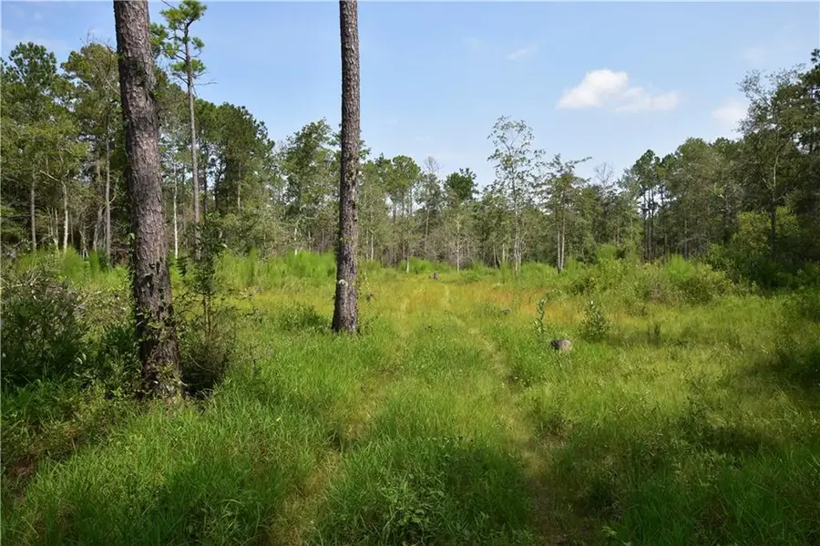 37323 Howard O'berry Road, Pearl River, LA 70452 - #2