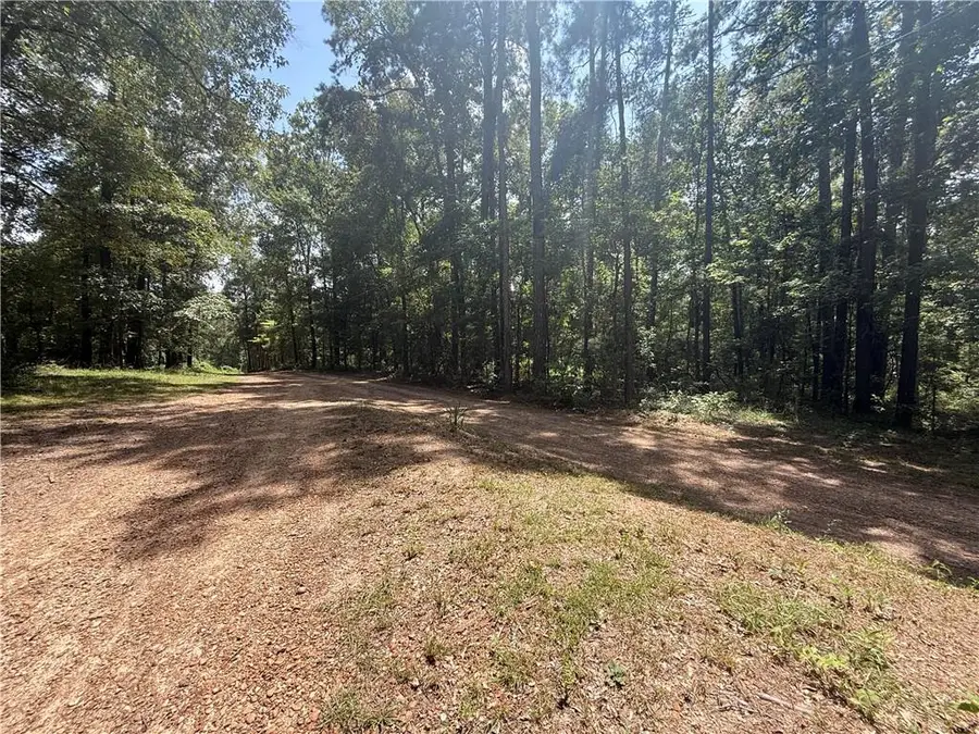 0 Lake Road, Dry Prong, LA 71423 - #2