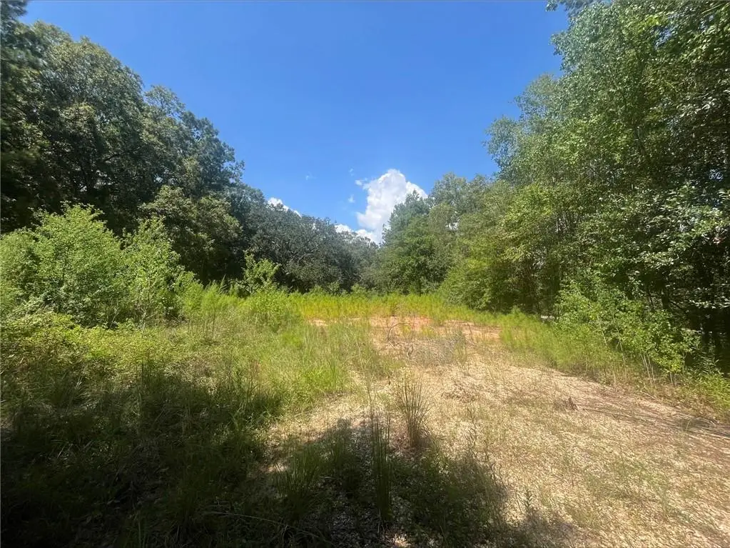 Lotus Road, Mandeville, LA 70448 - #1