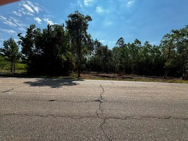 0 59 Highway, Mandeville, LA 70448 - #2