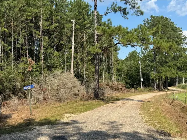 Burt Road, Bogalusa, LA 70427