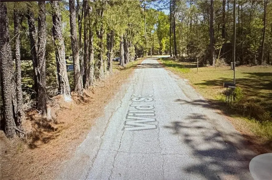 TBD Wild Street, Springfield, LA 70462 - #2