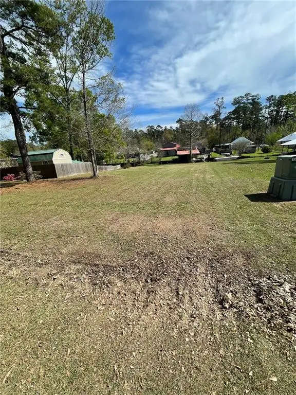 31140 Dendinger Mills Road, Springfield, LA 70462 - #2