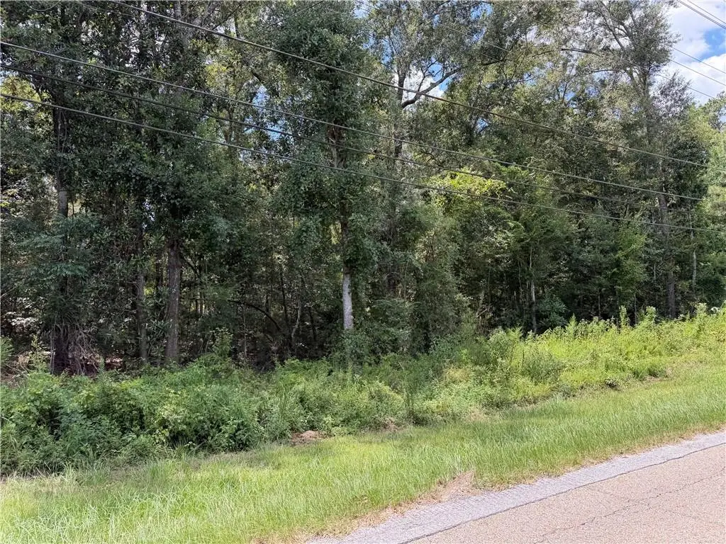 307 W 8th Avenue, Covington, LA 70433 - #1