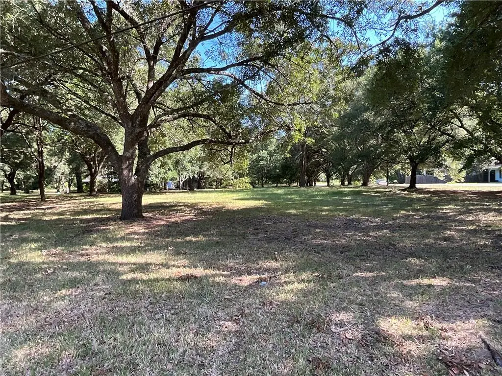 0 Henry (lot 9) Street, Marksville, LA 71351 - #1