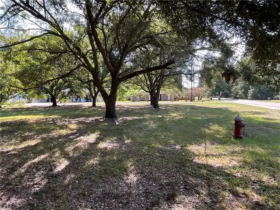 0 Henry (lot 9) Street, Marksville, LA 71351 - #3